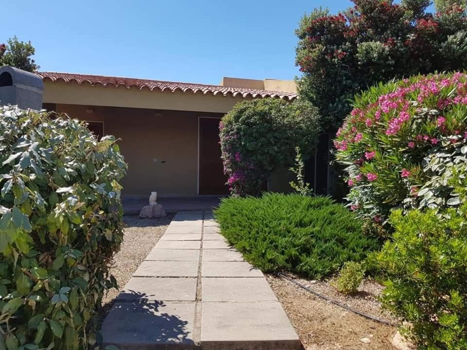 Casa Vacanze Villa Sandrina Costa Paradiso Dış mekan fotoğraf