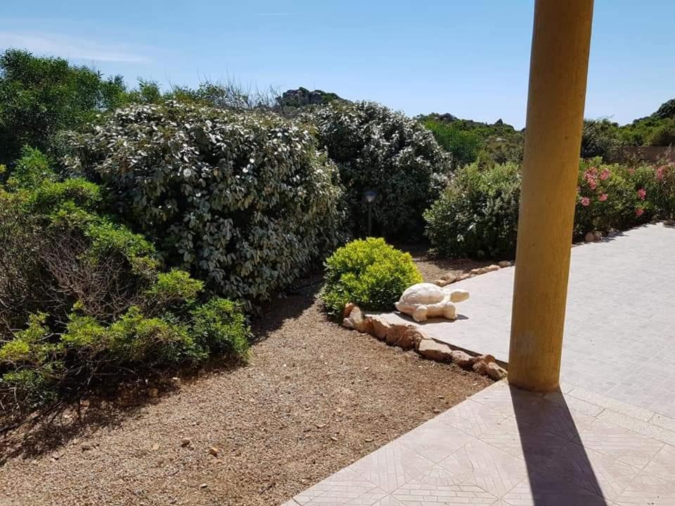 Casa Vacanze Villa Sandrina Costa Paradiso Dış mekan fotoğraf