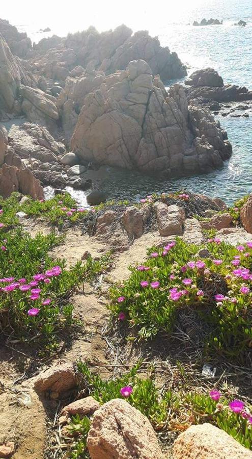 Casa Vacanze Villa Sandrina Costa Paradiso Dış mekan fotoğraf