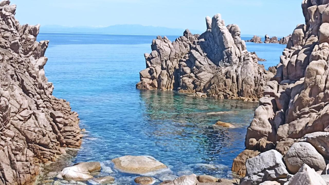 Casa Vacanze Villa Sandrina Costa Paradiso Dış mekan fotoğraf